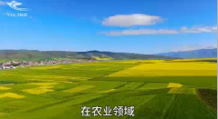 金昌干冰气肥